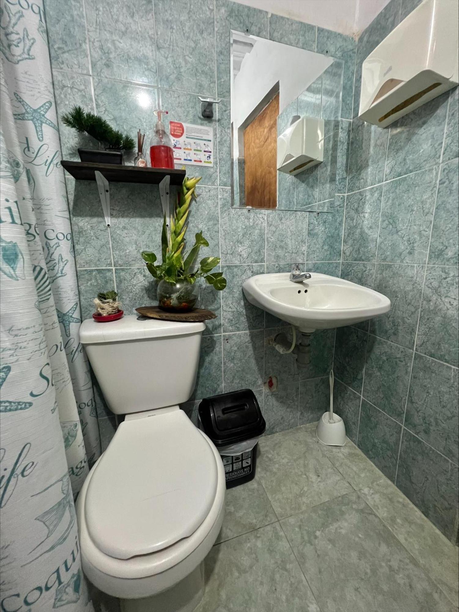 Double Room with Shared Toilet,1535017492:JPEG