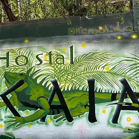Hostal Kaia-2