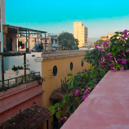 Casa Rosa - Alma Hotels-3