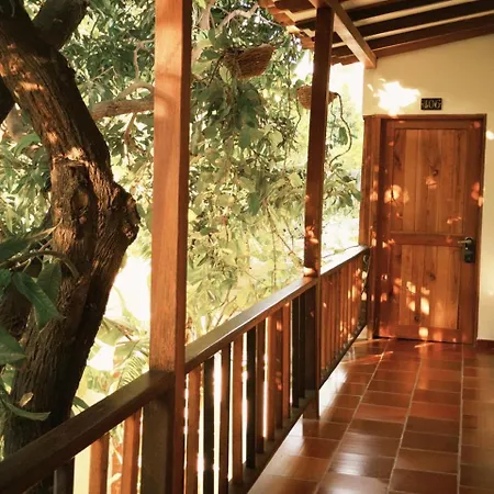Hotel Jardin Boutique rodadero-2